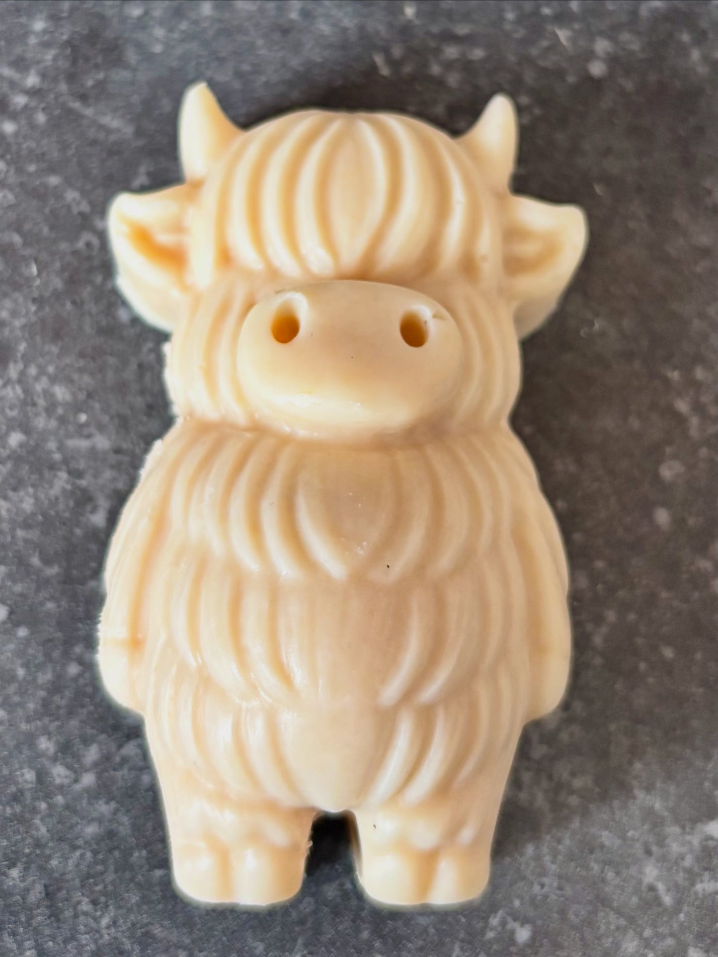 Small highland cow goat milk and tallow soap on a gray surface