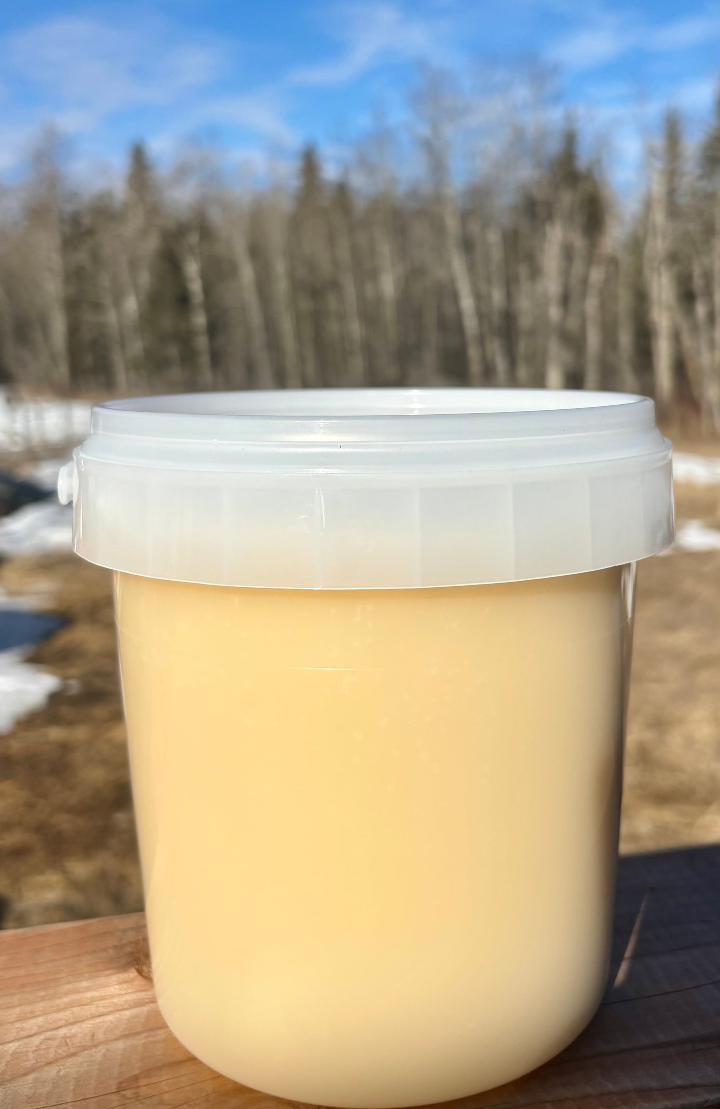 Fresh Raw Honey