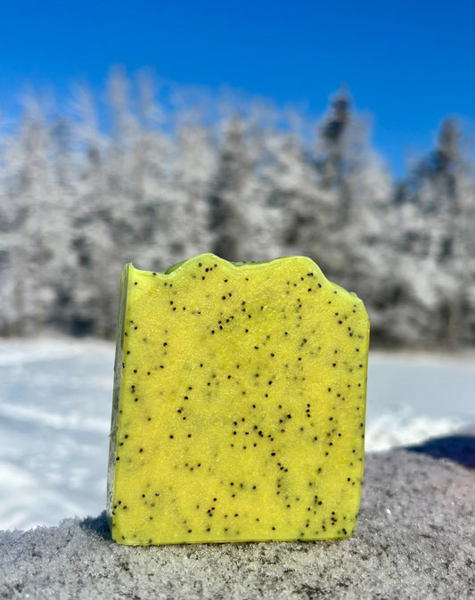 Handcrafted natural soap bar from Straight Arrow Farms lathering in hard water