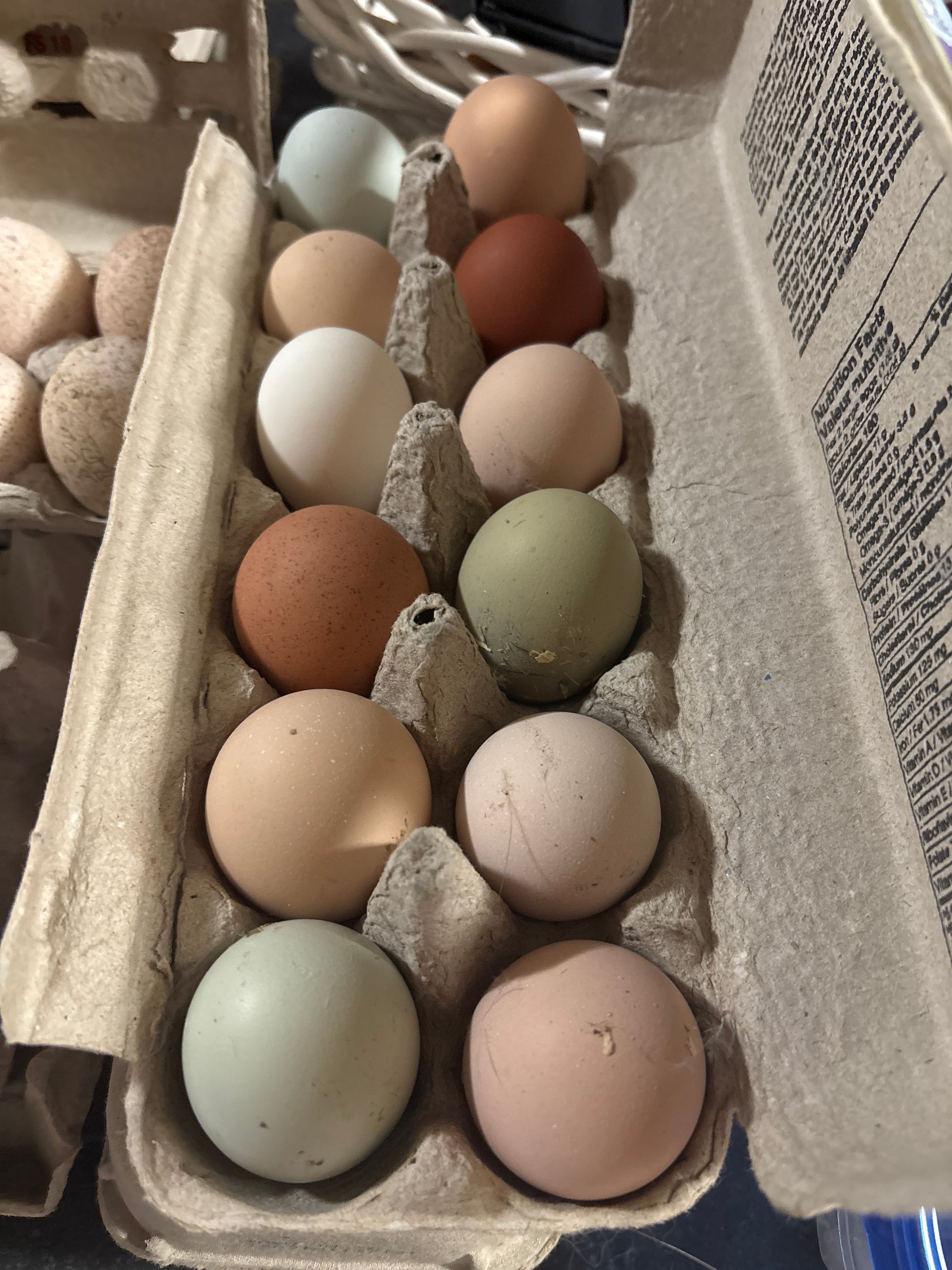 Assorted colored eggs in a cardboard carton