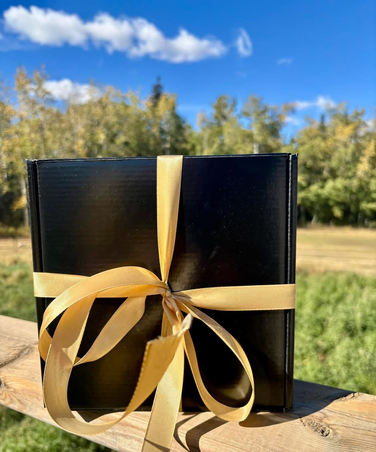 Christmas Gift Box Special.