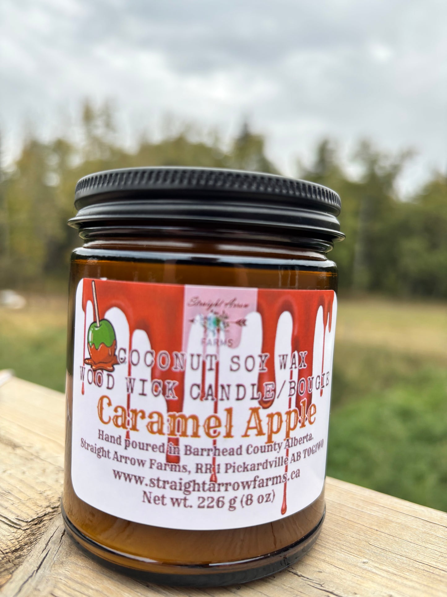 Wood Wick Candles - Fall/Christmas/Winter