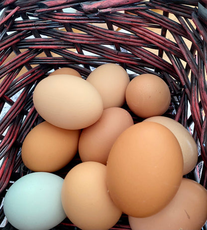 A basket filled with various shades of brown and one blue egg, representing freshly laid table eggs.