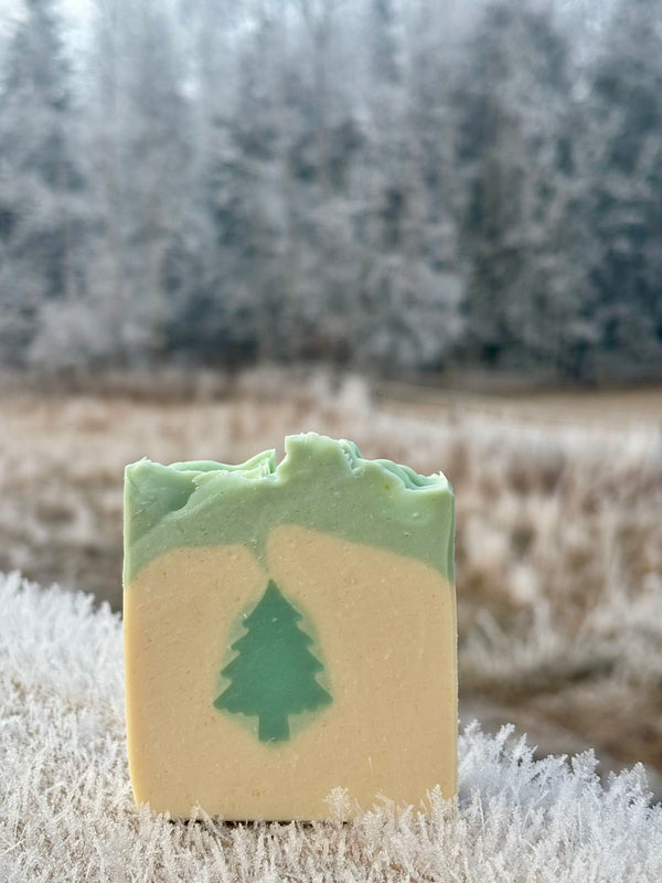 Bar of soap with a tree design in a frosty outdoor setting