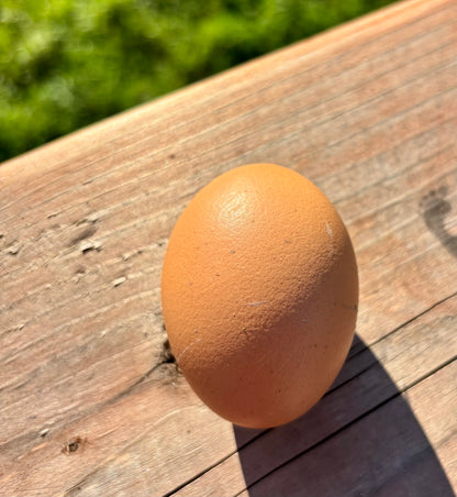 Brown egg on a wooden surface with a blurred green background