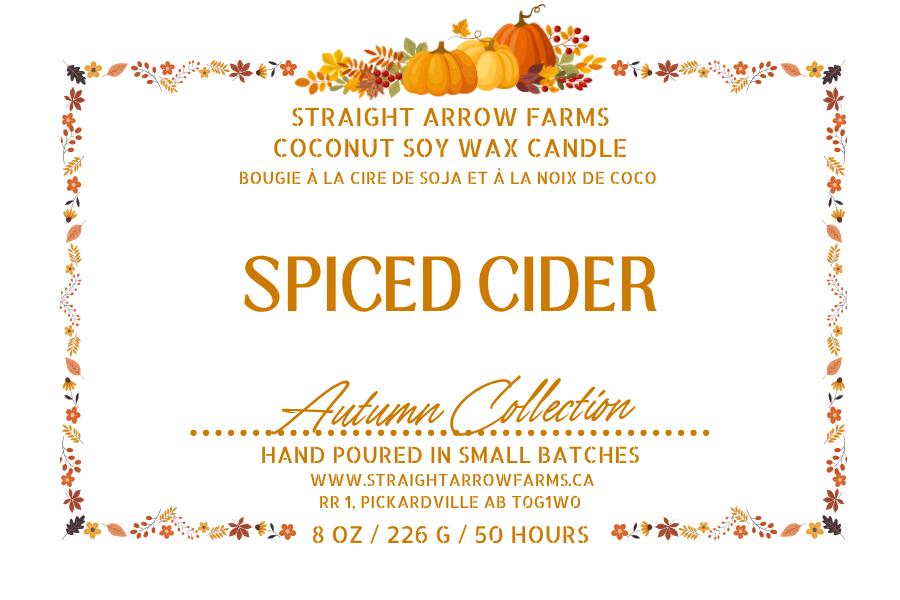 Coconut soy wax wood wick candle packaging, Spiced Cider scent.